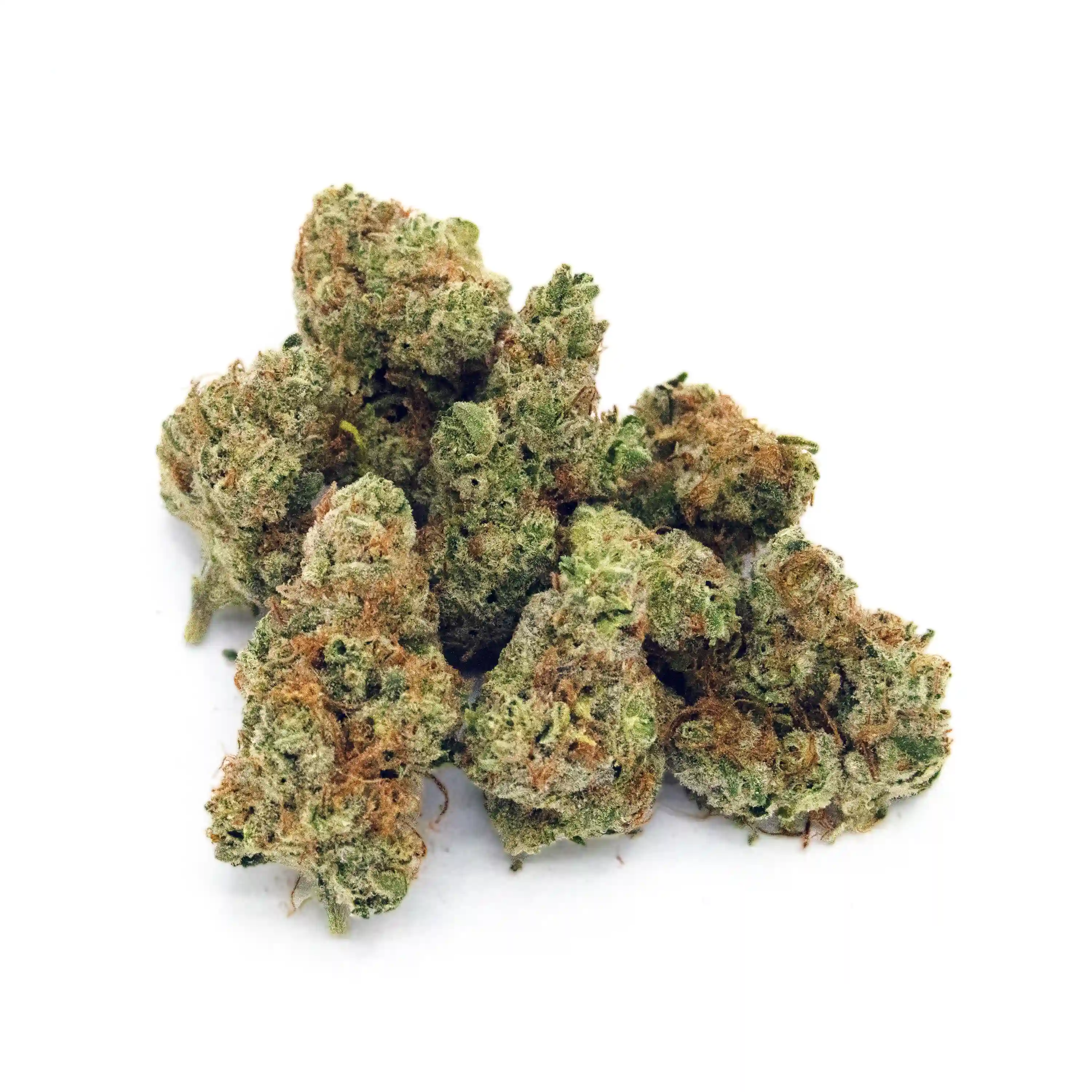 Funk Bomb